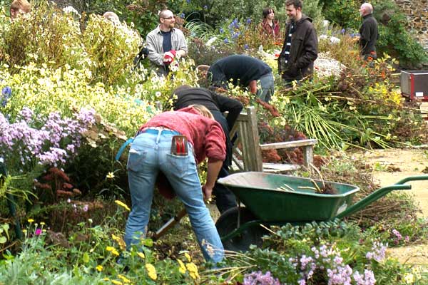 Employment help and advice from the Professional Gardeners Guild