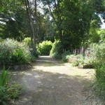 PGG visit to Kilmacurragh Botanic Gardens