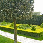 PGG visit to private gardens in Suffolk