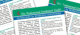 PGG Workplace Guidelines