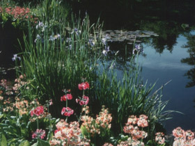 Attadale water gardens