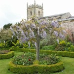 Coughton Court gardens May 2014