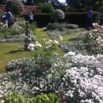 Denston Hall gardens