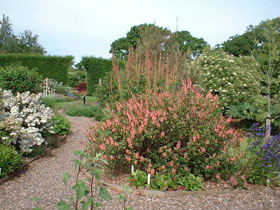 Longframlington gardens 