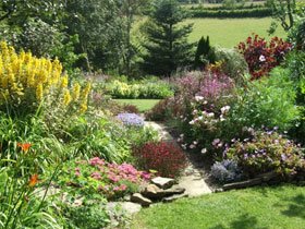 Garden at The Fold, County Durham