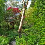 PGG visit to Branklyn Gardens Perth 14 May 2016