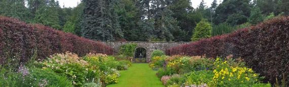 Photos: Portmore and Kailzie Garden, Peebles Aug ’16