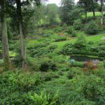 Mount St John gardens, Yorkshire