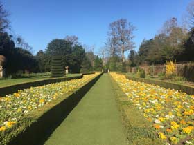 Cliveden gardens